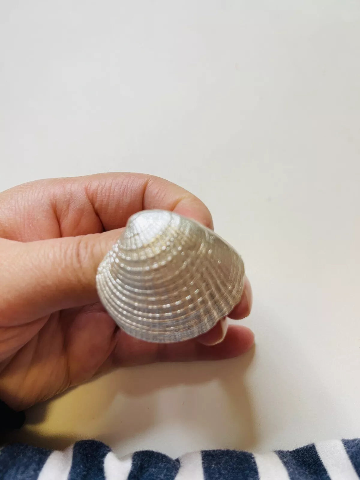 DUR Silber Schmuck Anhänger "Herzmuschel" P3027 Extra Groß