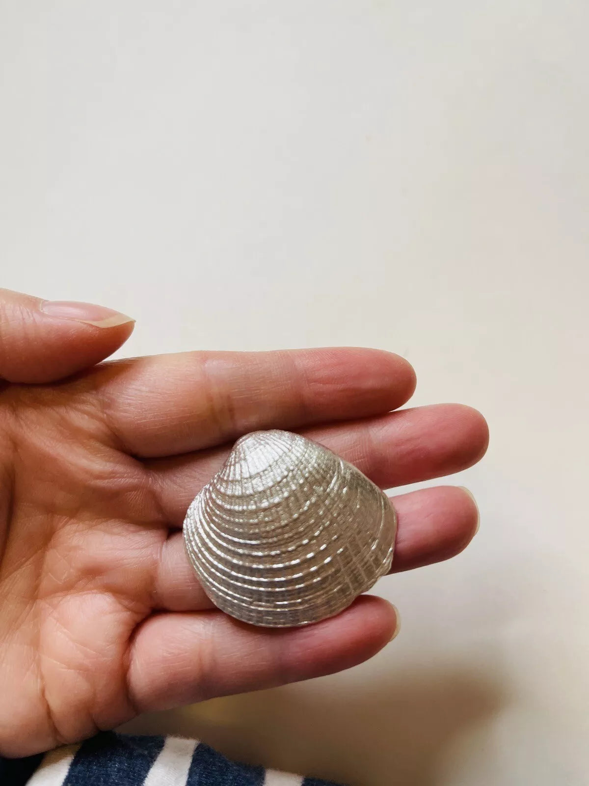 DUR Silber Schmuck Anhänger "Herzmuschel" P3027 Extra Groß